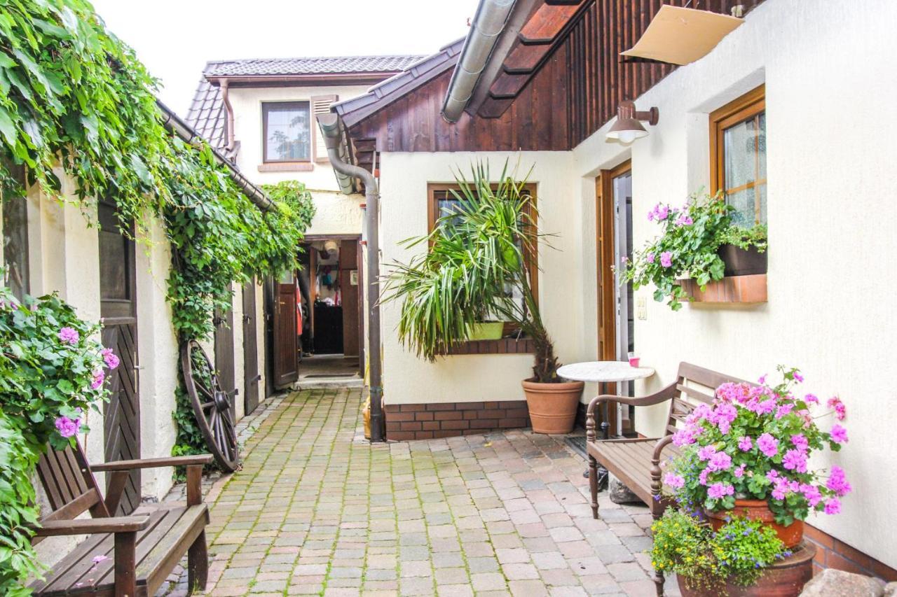 Likedeeler 6 Lejlighed Zingst Eksteriør billede